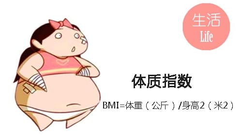 不要太瘦_微胖_BMI_骨密度測(cè)定.jpg