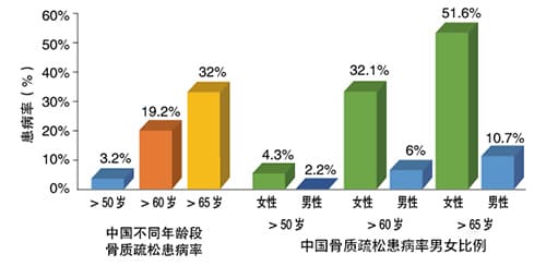 女性骨質情況